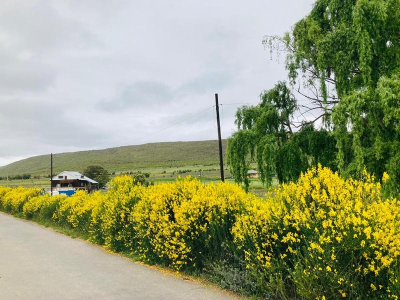 0 Bedroom Property for Sale in Joubertina Eastern Cape